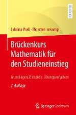 Brückenkurs Mathematik für den Studieneinstieg: Grundlagen, Beispiele, Übungsaufgaben