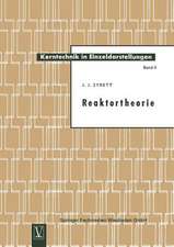 Reaktortheorie