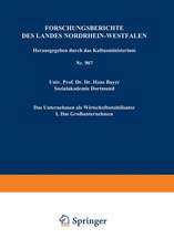 Das Unternehmen als Wirtschaftsstabilisator: I. Das Großunternehmen