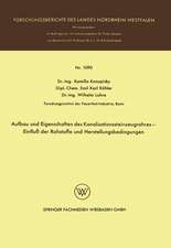 Aufbau und Eigenschaften des Kanalisationssteinzeugrohres — Einfluß der Rohstoffe und Herstellungsbedingungen