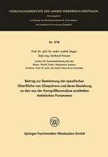 Beitrag zur Bestimmung der spezifischen Oberfläche von Glaspulvern und deren Beziehung zu den aus der Korngrößenanalyse ermittelten statistischen Parametern