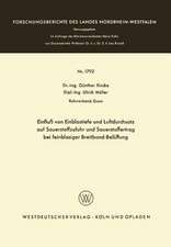 Einfluß von Einblastiefe und Luftdurchsatz auf Sauerstoffzufuhr und Sauerstoffertrag bei feinblasiger Breitband-Belüftung