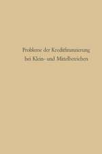 Probleme der Kreditfinanzierung bei Klein- und Mittelbetrieben