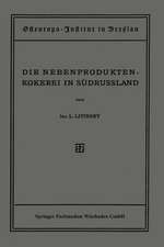 Die Nebenproduktenkokerei in Südrussland: Entwicklung, Stand, Organisation und Aussichten der Russischen Teerkokerei