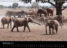 Kenia (Wandkalender 2016 DIN A4 quer)