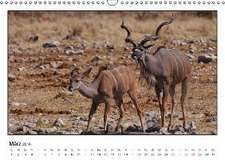 Tierische Momente (Wandkalender 2016 DIN A3 quer)