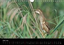 Vienna Wildlife 2016 (Wandkalender 2016 DIN A4 quer)