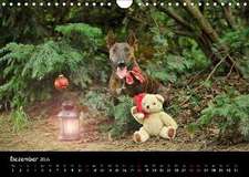 Bullterrier? Was sonst! (Wandkalender 2016 DIN A4 quer)