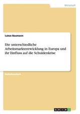 Die unterschiedliche Arbeitsmarktentwicklung in Europa und ihr Einfluss auf die Schuldenkrise