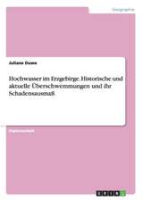 Hochwasser im Erzgebirge. Historische und aktuelle Überschwemmungen und ihr Schadensausmaß