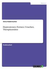 Depressionen. Formen, Ursachen, Therapieansätze