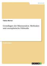 Grundlagen der Bilanzanalyse. Methoden und exemplarische Fallstudie