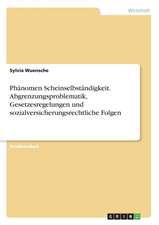 Phänomen Scheinselbständigkeit. Abgrenzungsproblematik, Gesetzesregelungen und sozialversicherungsrechtliche Folgen