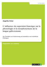 L' influence du superstrat francique sur la phonologie et la morphosyntaxe de la langue gallo-romane