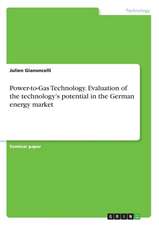 Power-to-Gas Technology. Evaluation of the technology's potential in the German energy market