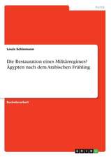 Die Restauration eines Militärregimes? Ägypten nach dem Arabischen Frühling