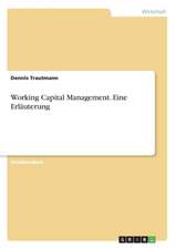 Working Capital Management. Eine Erläuterung