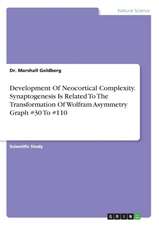 Development of Neocortical Complexity. Synaptogenesis Is Related to the Transformation of Wolfram Asymmetry Graph #30 to #110