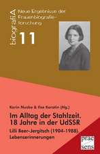 Im Alltag der Stahlzeit. 18 Jahre in der UdSSR