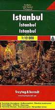 Istanbul 1 : 10 000