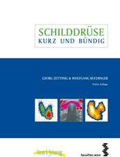 Schilddrüse - kurz & bündig