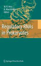 Regulatory RNAs in Prokaryotes