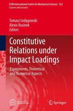 Constitutive Relations under Impact Loadings: Experiments, Theoretical and Numerical Aspects