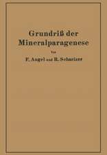 Grundriß der Mineralparagenese