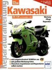 Kawasaki ZX-12 R ab Modelljahr 2000