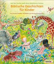 Develey, F: Biblische Geschichten für Kinder