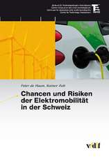 Chancen und Risiken der Elektromobilität