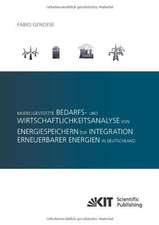 Modellgestützte Bedarfs- und Wirtschaftlichkeitsanalyse von Energiespeichern zur Integration erneuerbarer Energien in Deutschland