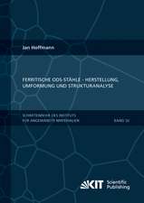 Ferritische ODS-Stähle - Herstellung, Umformung und Strukturanalyse