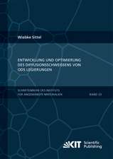 Entwicklung und Optimierung des Diffusionsschweißens von ODS Legierungen