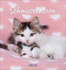 Schmusekatzen 2025