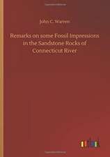 Remarks on some Fossil Impressions in the Sandstone Rocks of Connecticut River