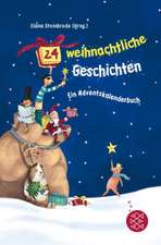 24 weihnachtliche Geschichten