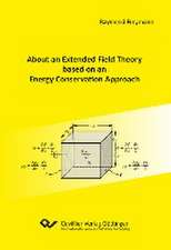 About an Extended Field Theory based on an Energy Conservation Approach