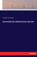 Grammatik der Altbaktrischen Sprache