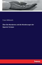 Über Die Mundarten und die Wanderungen der Zigeuner Europas