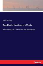 Rambles in the deserts of Syria