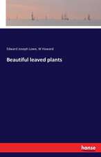 Beautiful leaved plants