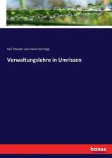 Verwaltungslehre in Umrissen