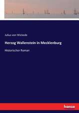 Herzog Wallenstein in Mecklenburg