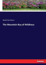 The Mountain Boy of Wildhaus