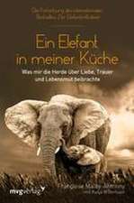 Ein Elefant in meiner Küche