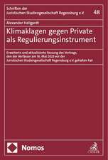 Klimaklagen gegen Private als Regulierungsinstrument