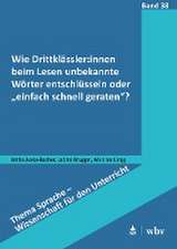 Wie Drittklässler:innen beim Lesen unbekannte Wörter entschlüsseln oder 