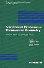 Variational Problems in Riemannian Geometry