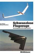 Schwanzlose Flugzeuge